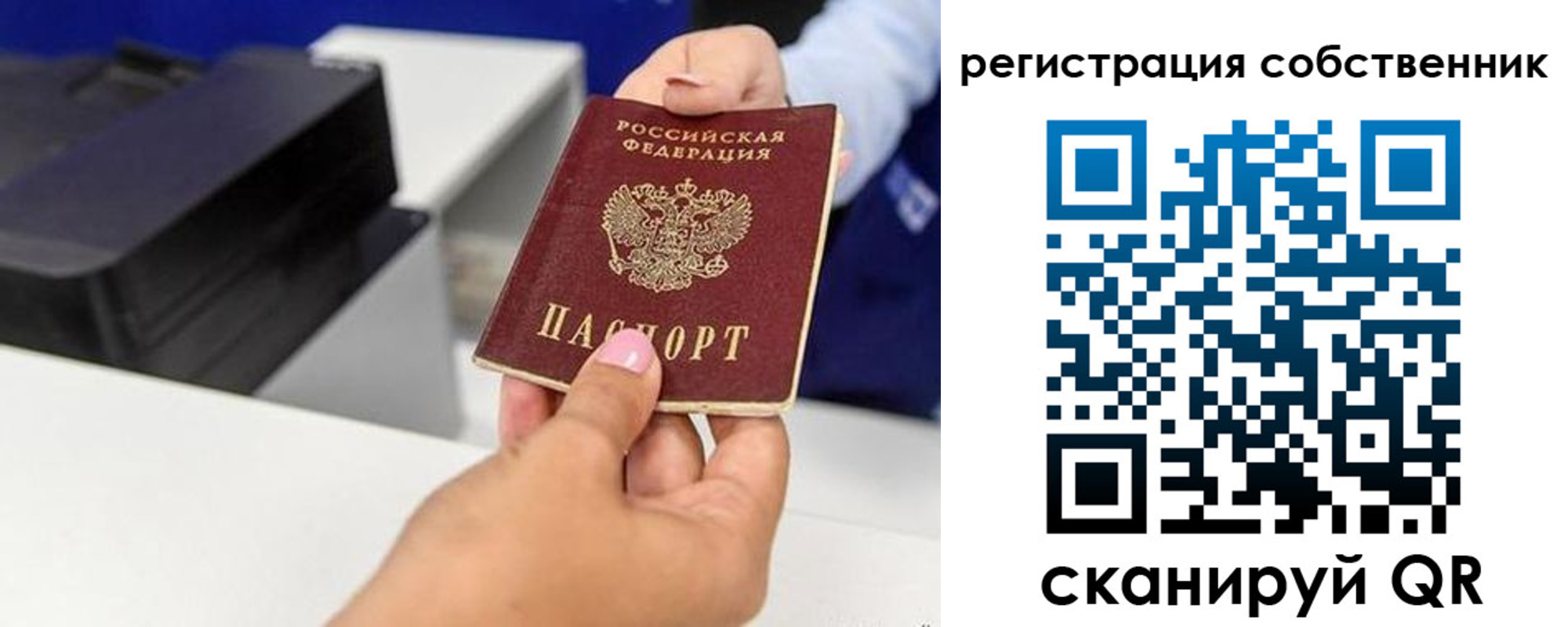 прописка для школы в Киришах